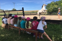 Exkurze na ranči